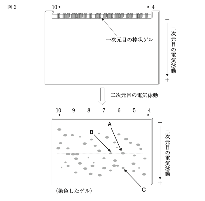 解説画像